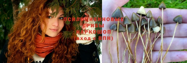 герыч Абаза