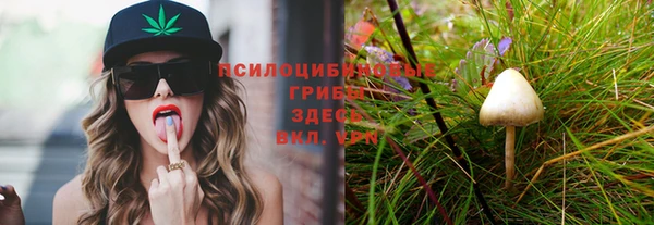 герыч Абаза
