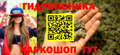шишки Абинск