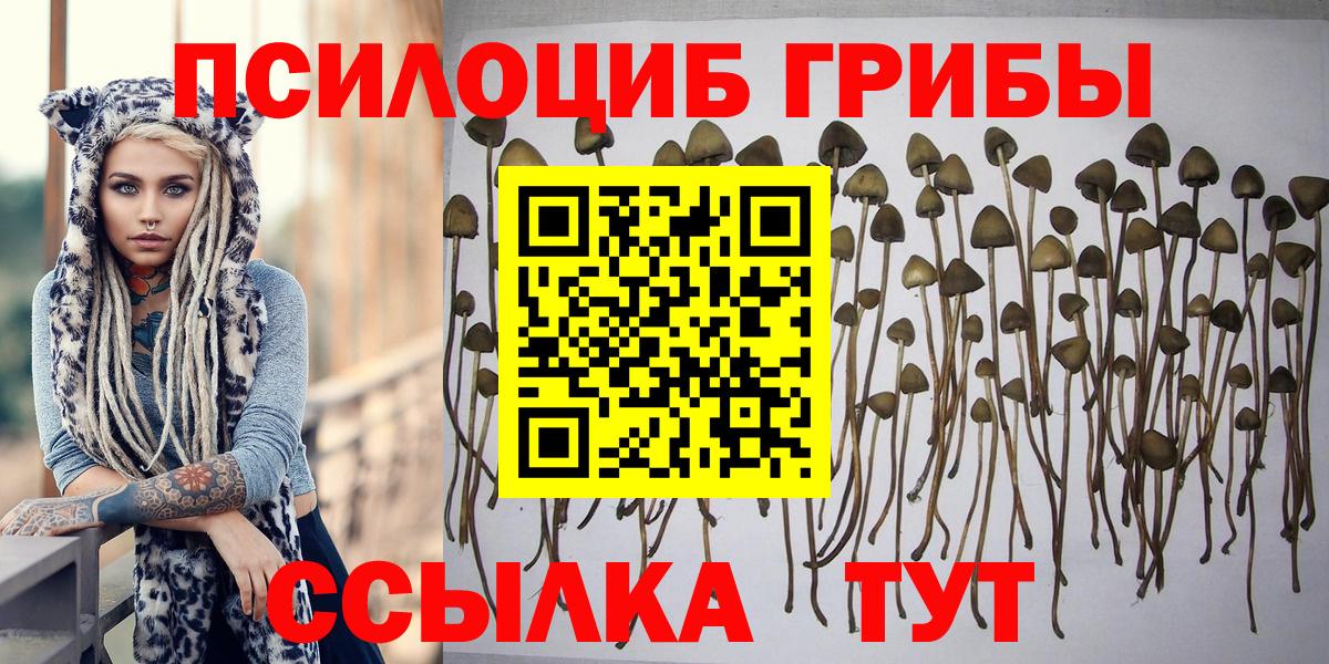 Галлюциногенные грибы Cubensis  Вход с VPN  Псилоцибиновые грибы мицелий  Рассказово 