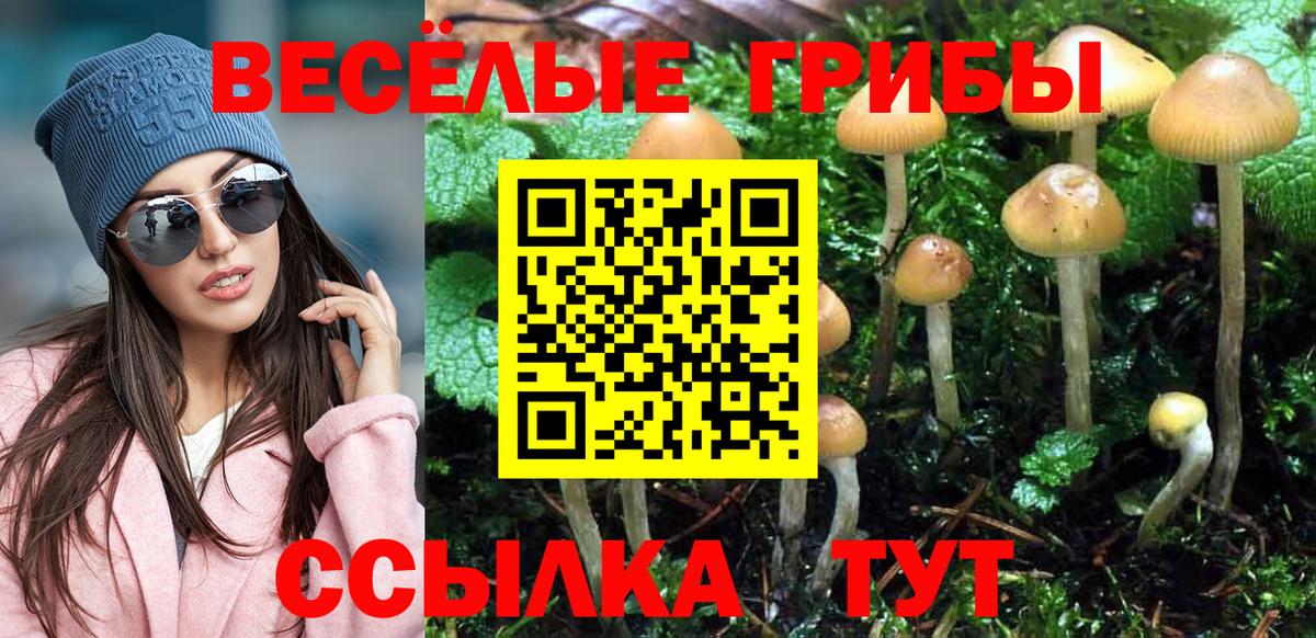 Галлюциногенные грибы мицелий  где купить наркоту  Рассказово  Вход с VPN  Галлюциногенные грибы MAGIC MUSHROOMS 