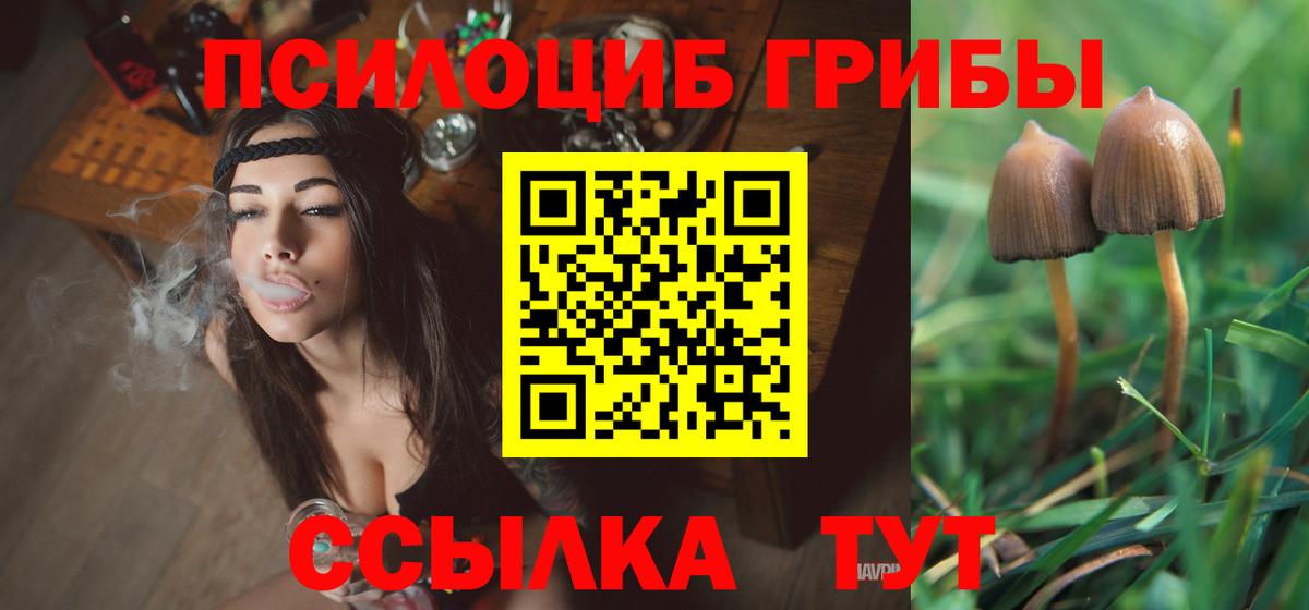 Псилоцибиновые грибы MAGIC MUSHROOMS Рассказово