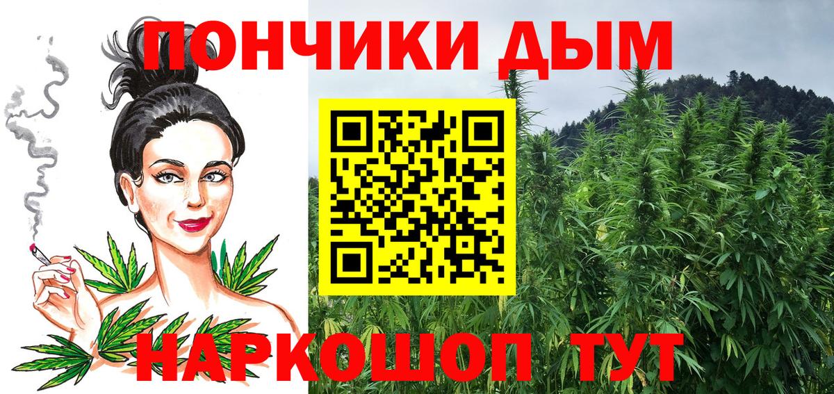 Бошки марихуана OG Kush Рассказово